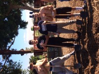 Emerson Avenue Community Garden Work Day @ Emerson Avenue Community Garden @ Wright Middle School STEAM Magnet | Los Angeles | California | United States