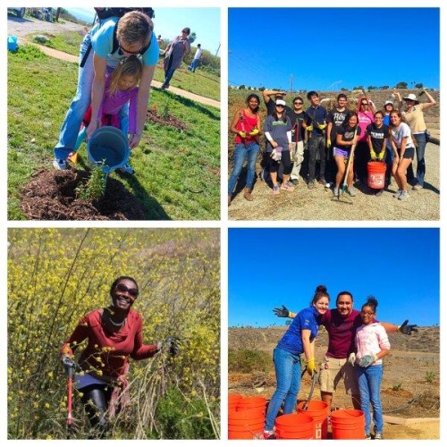 Outdoor Volunteer Day: Palos Verdes Peninsula Land Conservancy @ White Point Nature Preserve | Los Angeles | California | United States