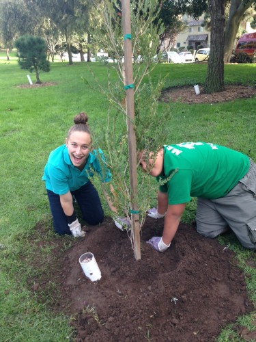 2013, 11-23 Memory Tree Planting (4)