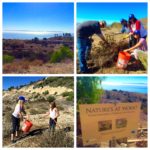 Outdoor Volunteer Day: Portuguese Bend Reserve @ Portuguese Bend Reserve | Rancho Palos Verdes | California | United States