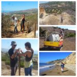 Rapid Response Team @ Portuguese Bend Reserve | Rancho Palos Verdes | California | United States