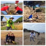 Outdoor Volunteer Day: Alta Vicente @ Rancho Palos Verdes | California | United States