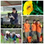 Native Plant Nursery @ Los Angeles | California | United States